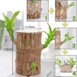 LUCKY BRAZIL WOOD