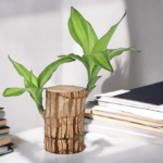 LUCKY BRAZIL WOOD